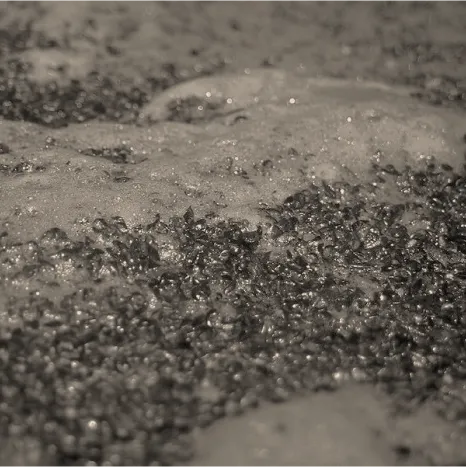 A close-up, slightly blurred view of a dark, granular substance submerged in a cloudy liquid, part of the maceration process for mastiha spirit