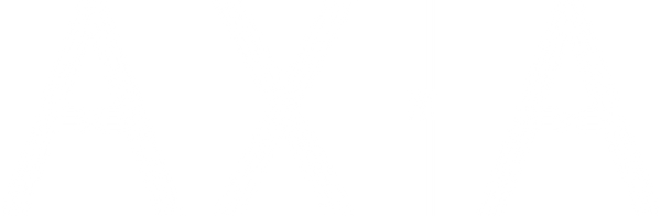 Axia Spirit US logo