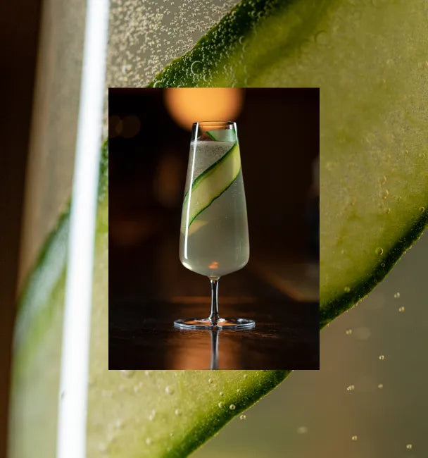 Axia Greek Mastiha Spirit and Oriole Bar Champagne Cocktail with cucumber on a wooden counter with a secondary close-up picture in the background of another Axia x Oriole Champagne cocktail